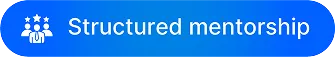 Structured mentorship