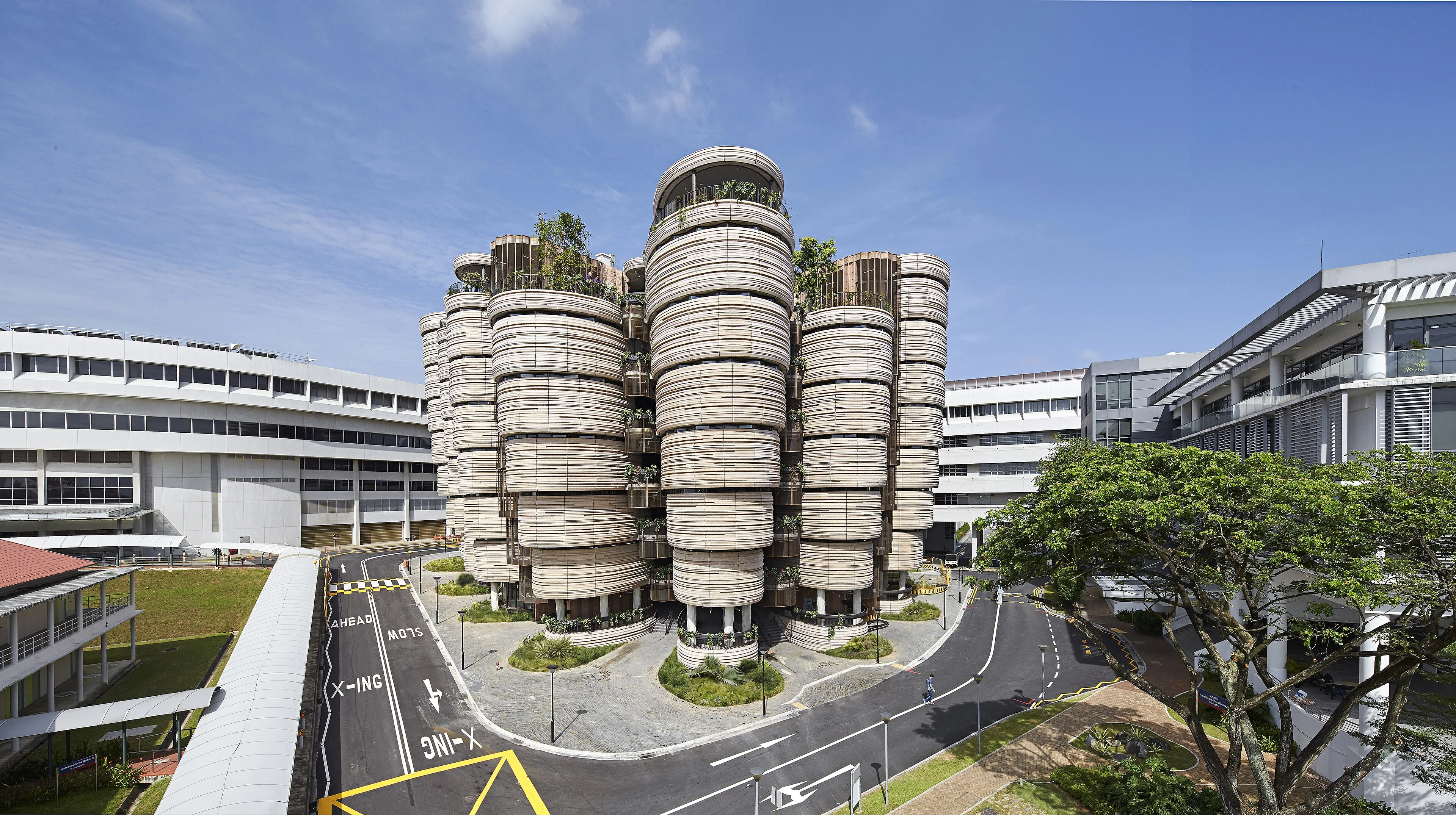 The Hive, NTU’s Learning Hub, designed by Thomas Heatherwick